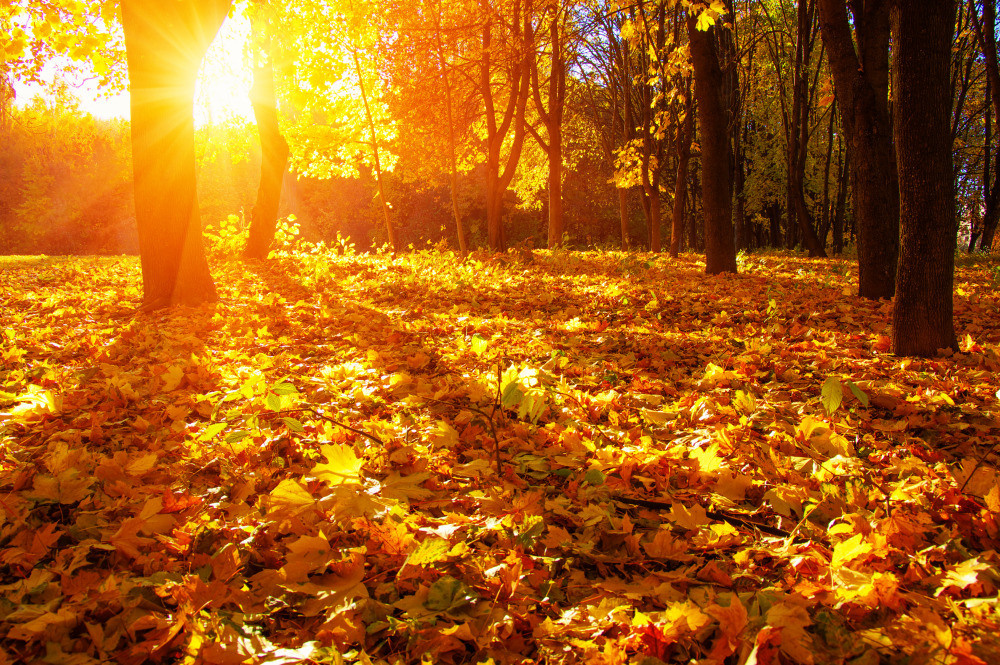 05 - природа и пейзажи