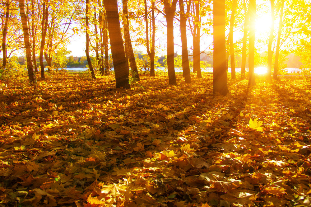 05 - природа и пейзажи