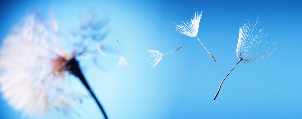 05 - природа и пейзажи