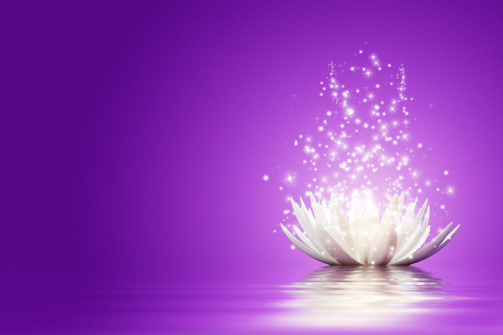 03 — цветы — растения — фрукты