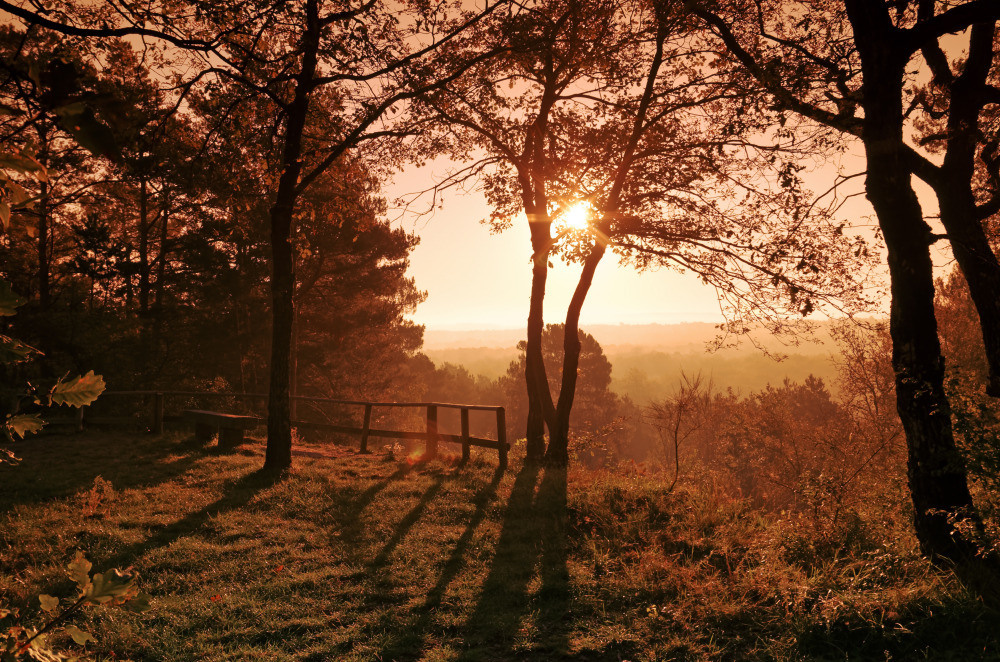 05 - природа и пейзажи