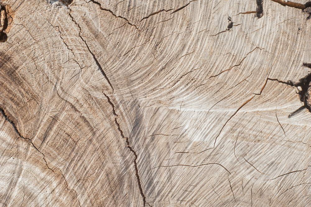 14 — деревянные фоны