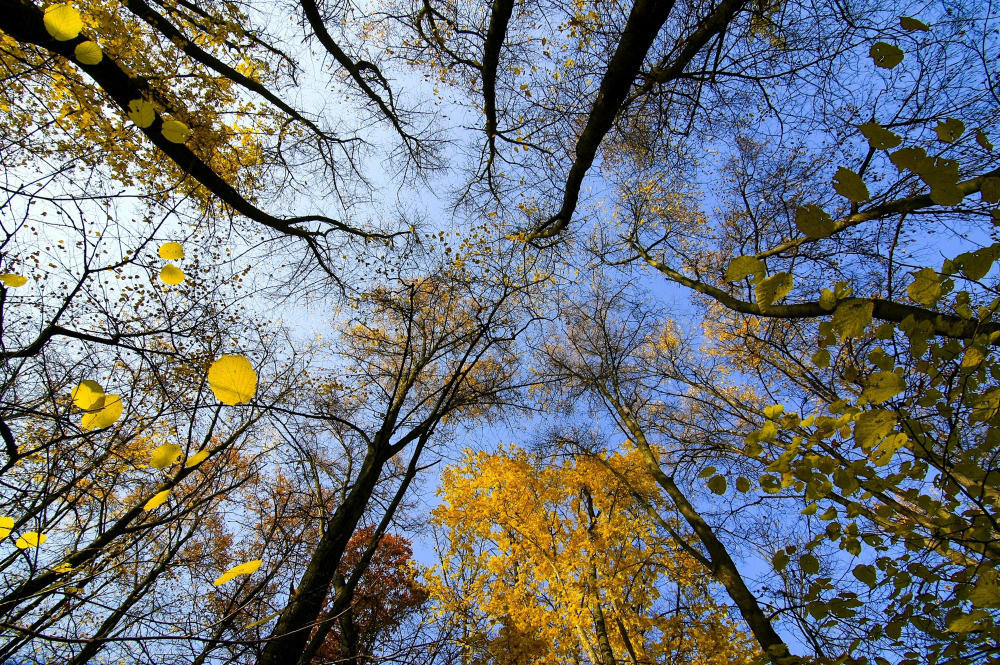 05 - природа и пейзажи