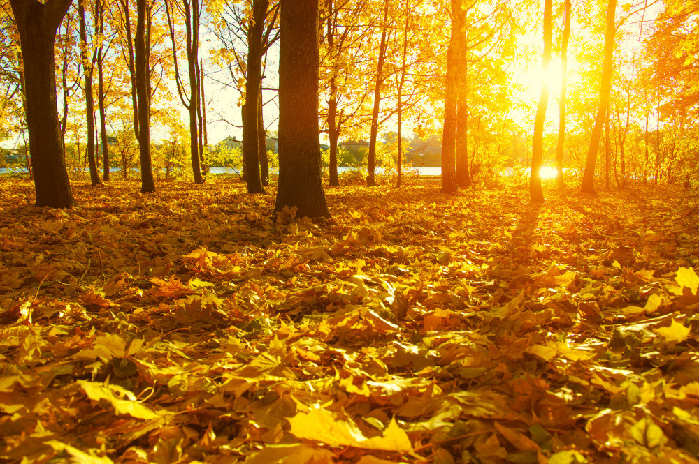 05 - природа и пейзажи