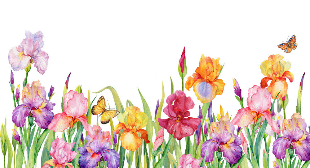 08 — дизайнерские принты