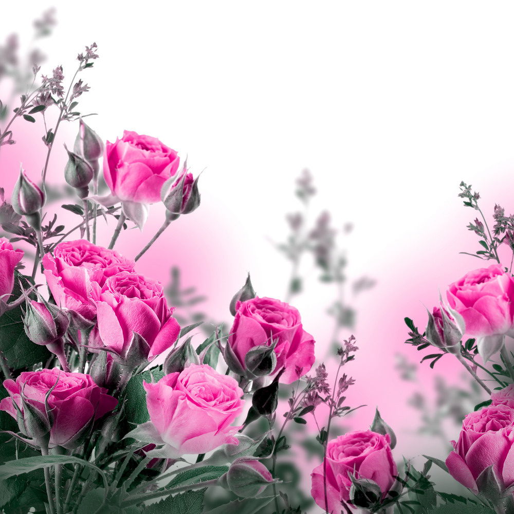 03 — цветы — растения — фрукты