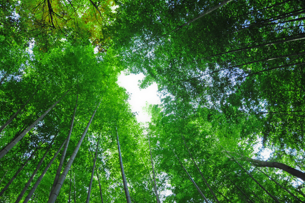 05 - природа и пейзажи