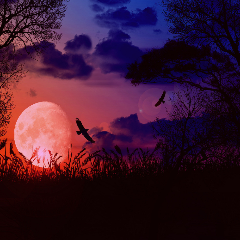 05 - природа и пейзажи