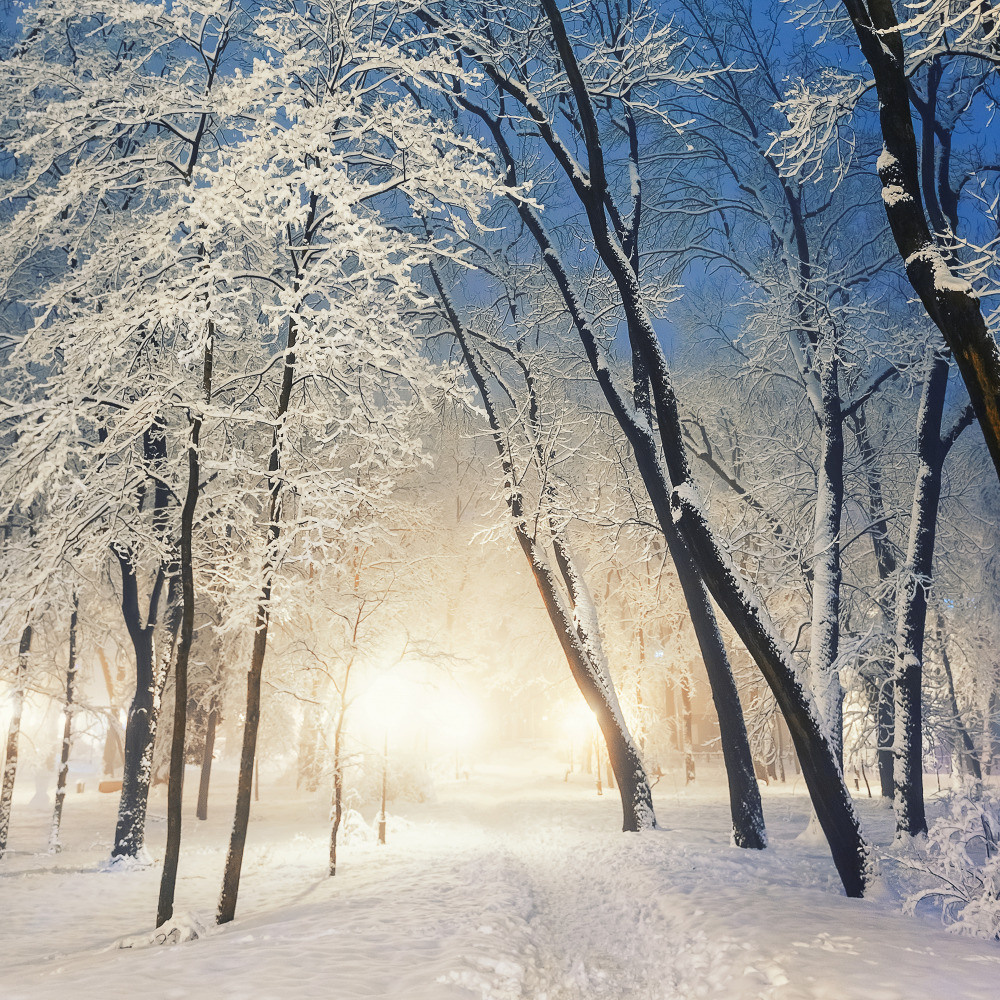 05 - природа и пейзажи