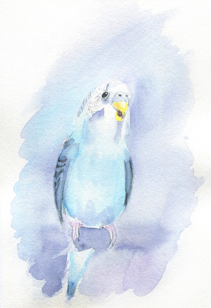 04 — животный и водный мир