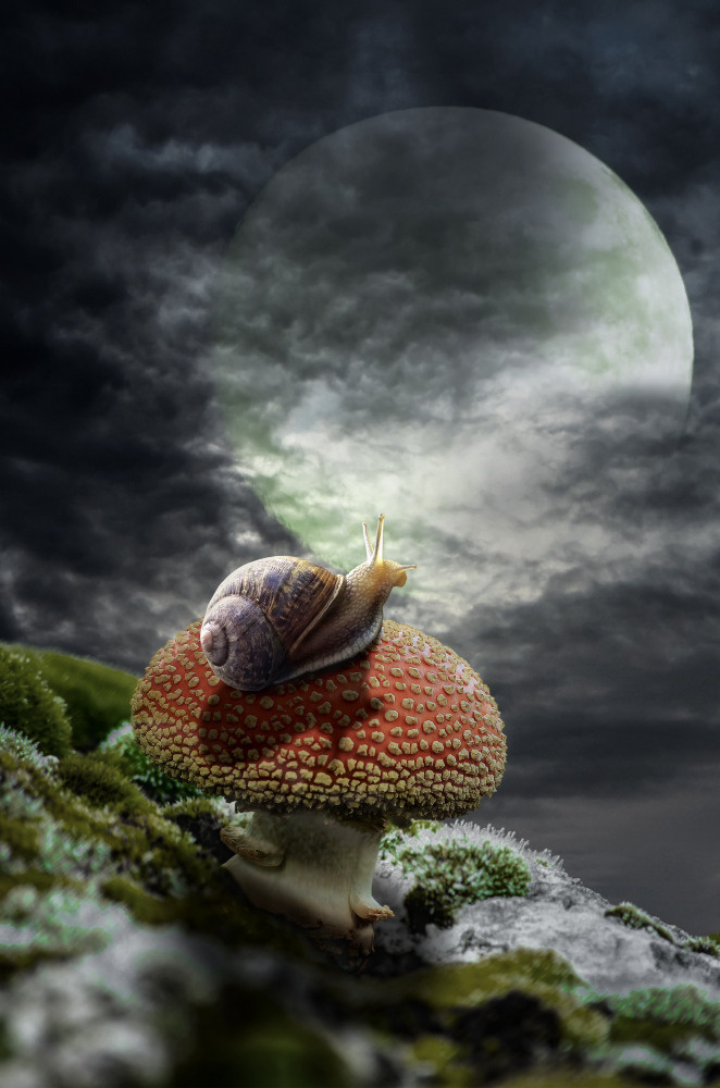 17 — арт, концепты