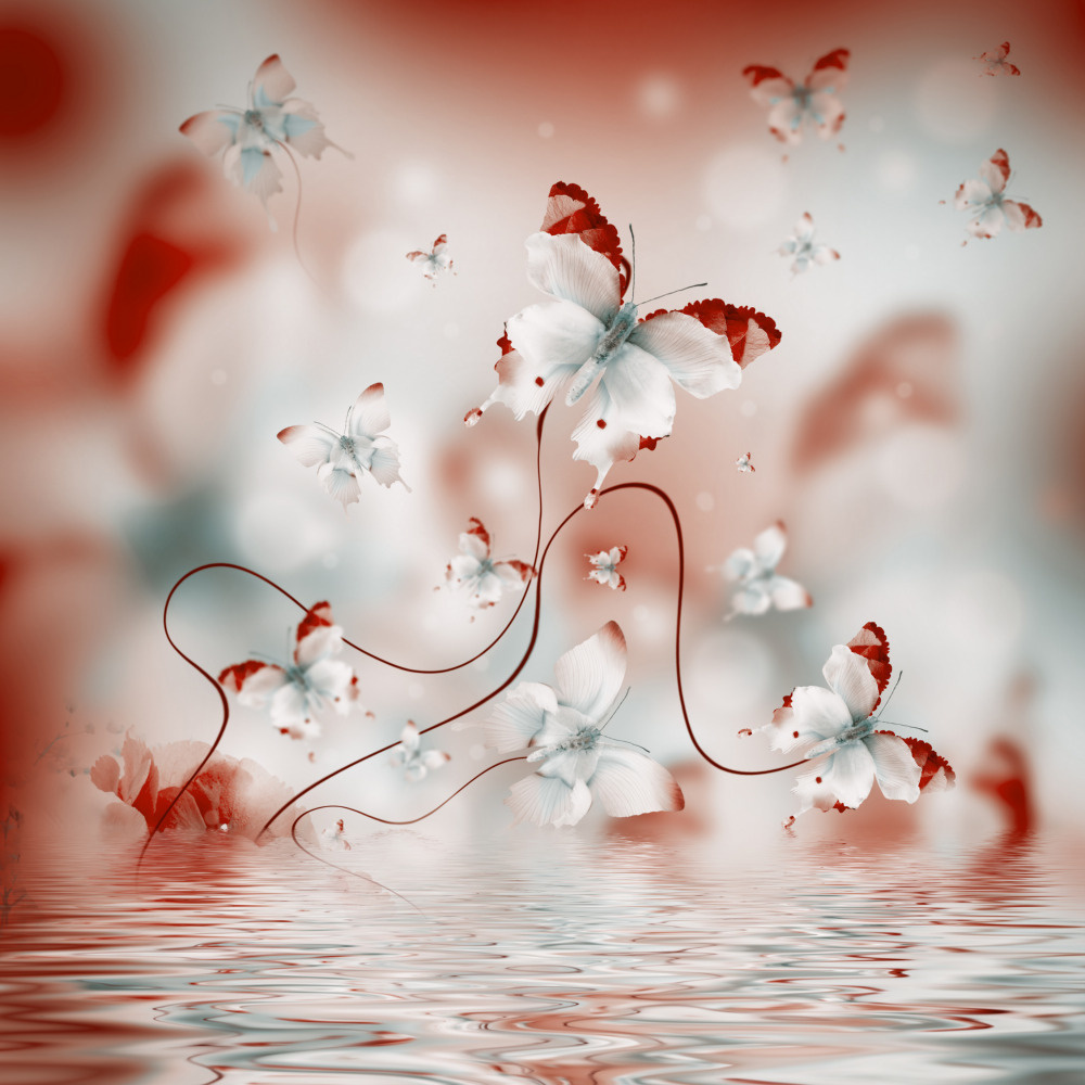 18 — бабочки