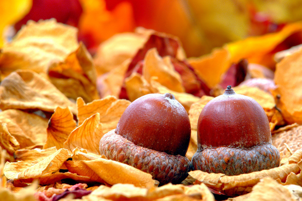 05 - природа и пейзажи