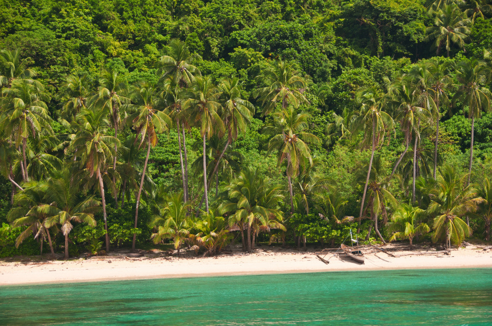 05 - природа и пейзажи