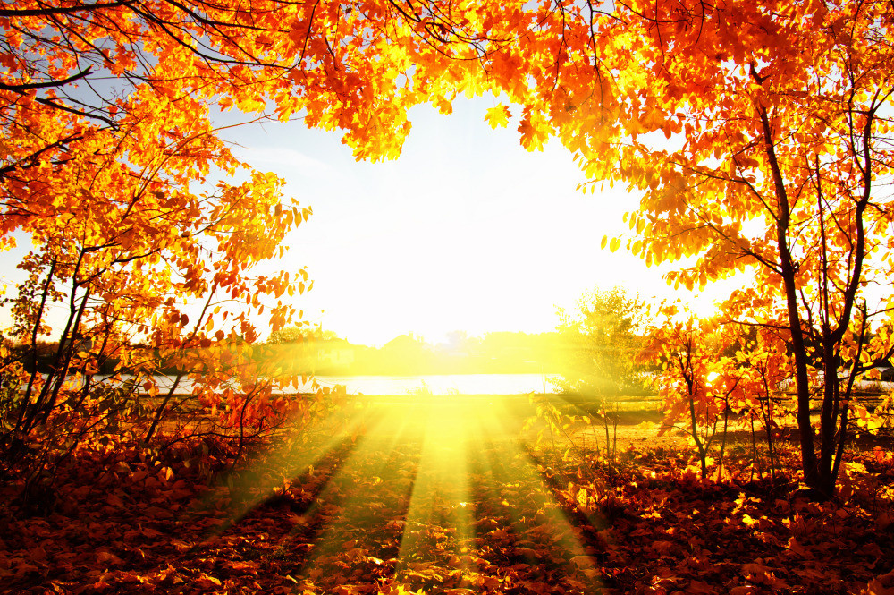 05 - природа и пейзажи