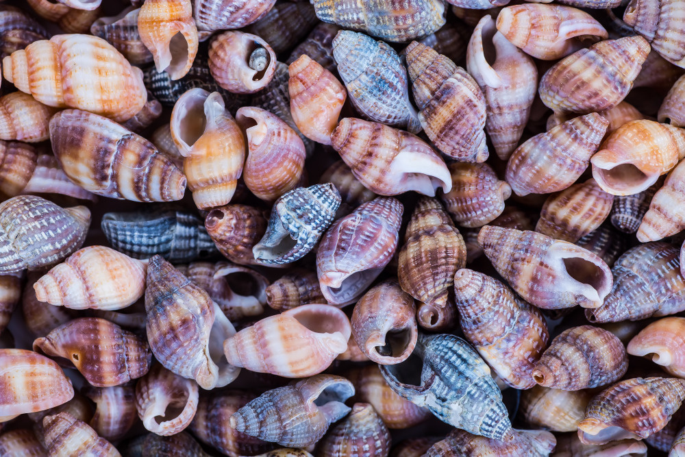 16 — разные фоны