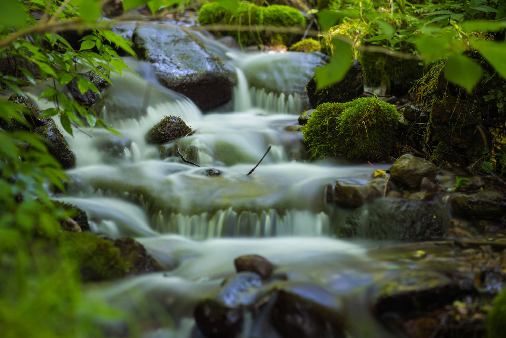 05 - природа и пейзажи