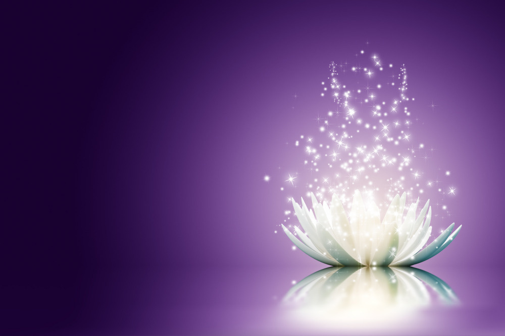 03 — цветы — растения — фрукты