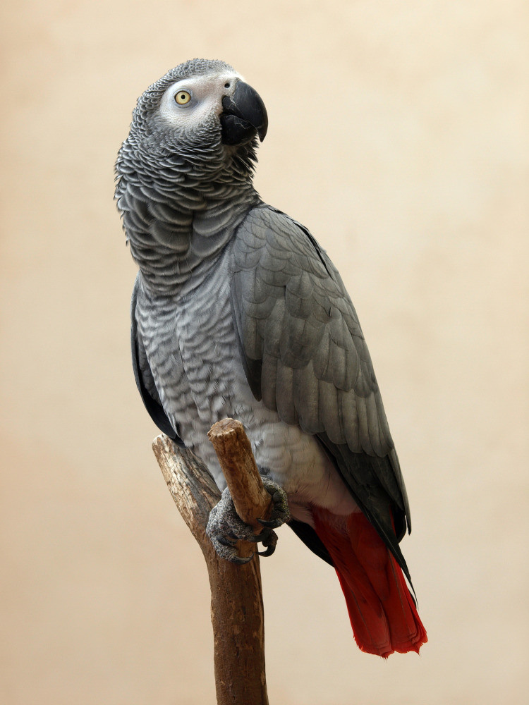 04 — животный и водный мир