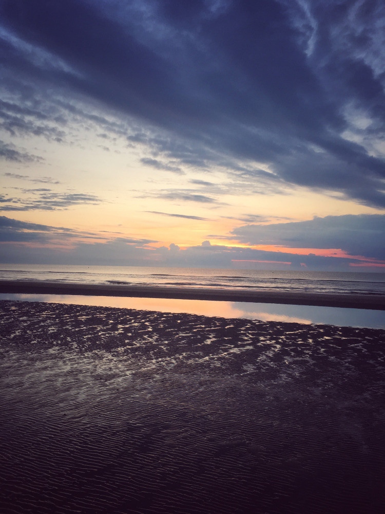 05 - природа и пейзажи