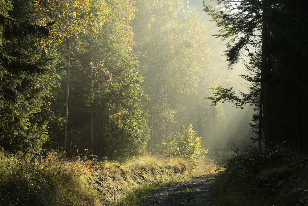 05 - природа и пейзажи