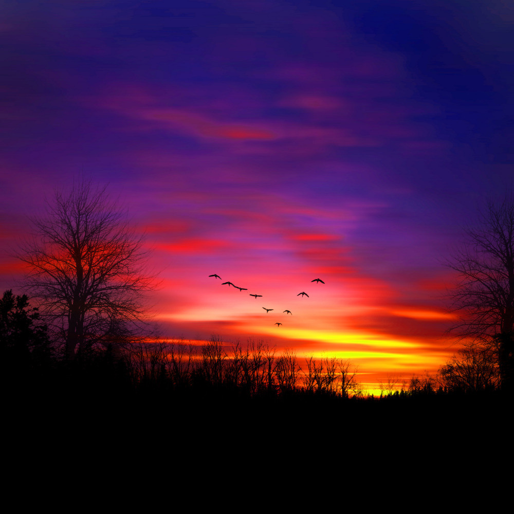 05 - природа и пейзажи