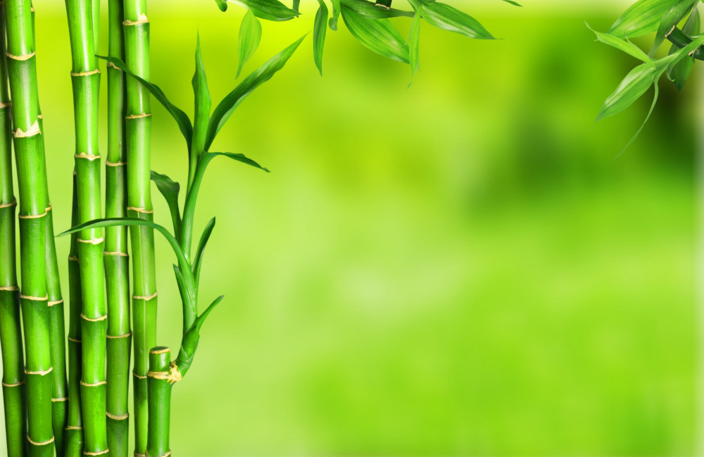 05 - природа и пейзажи