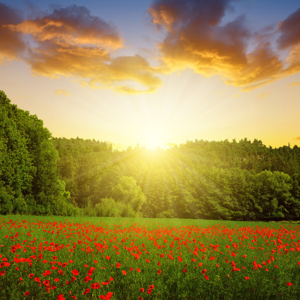 05 - природа и пейзажи