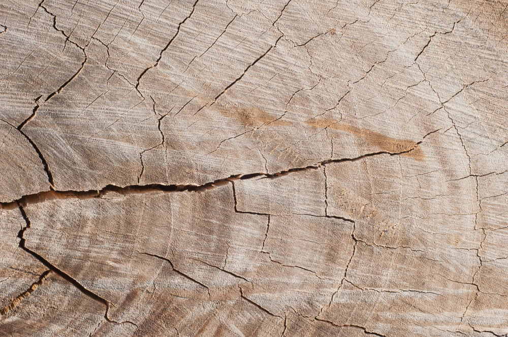 14 — деревянные фоны