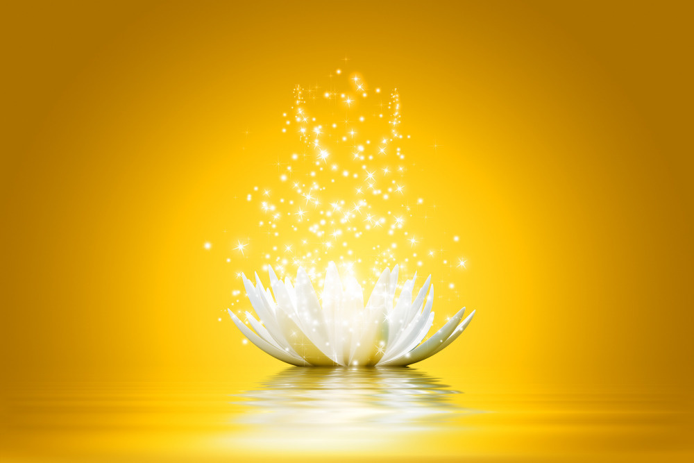 03 — цветы — растения — фрукты