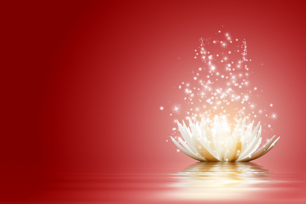 03 — цветы — растения — фрукты