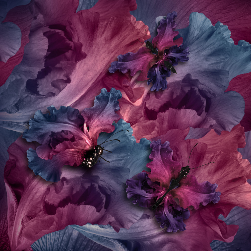 18 — бабочки