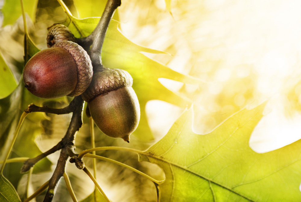 05 - природа и пейзажи