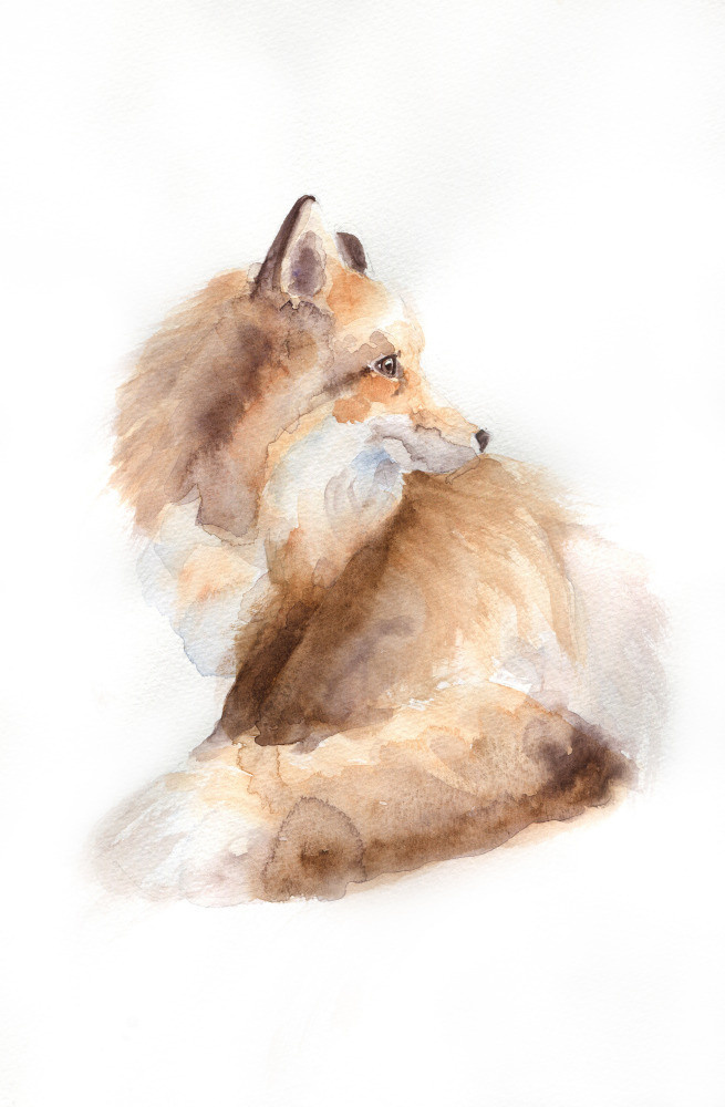 04 — животный и водный мир