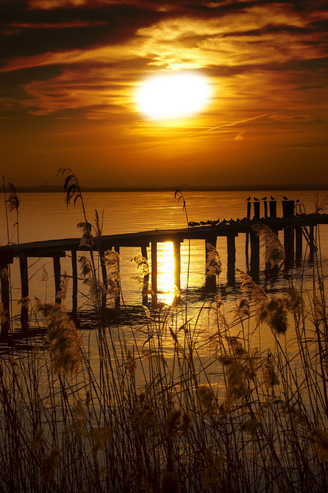 05 - природа и пейзажи