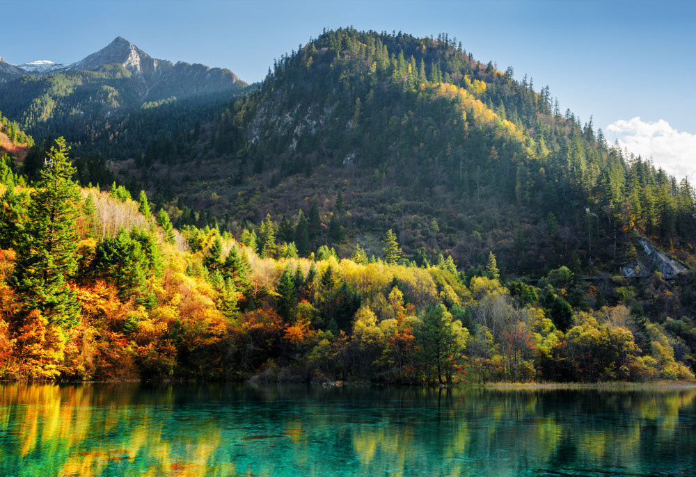 05 - природа и пейзажи