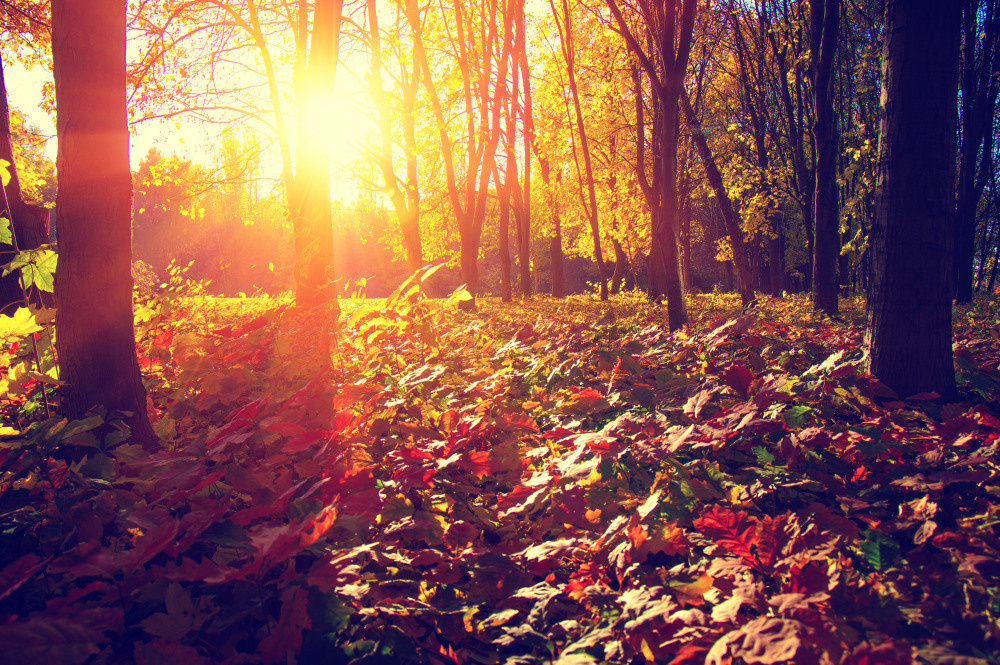 05 - природа и пейзажи