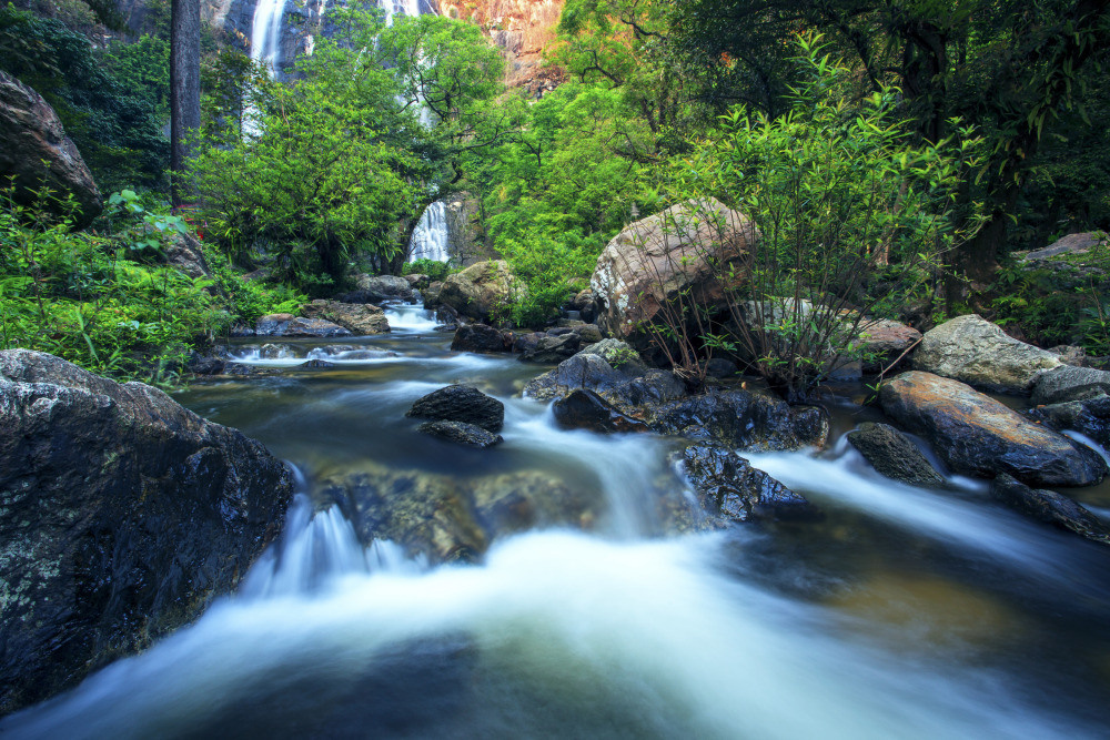 05 - природа и пейзажи