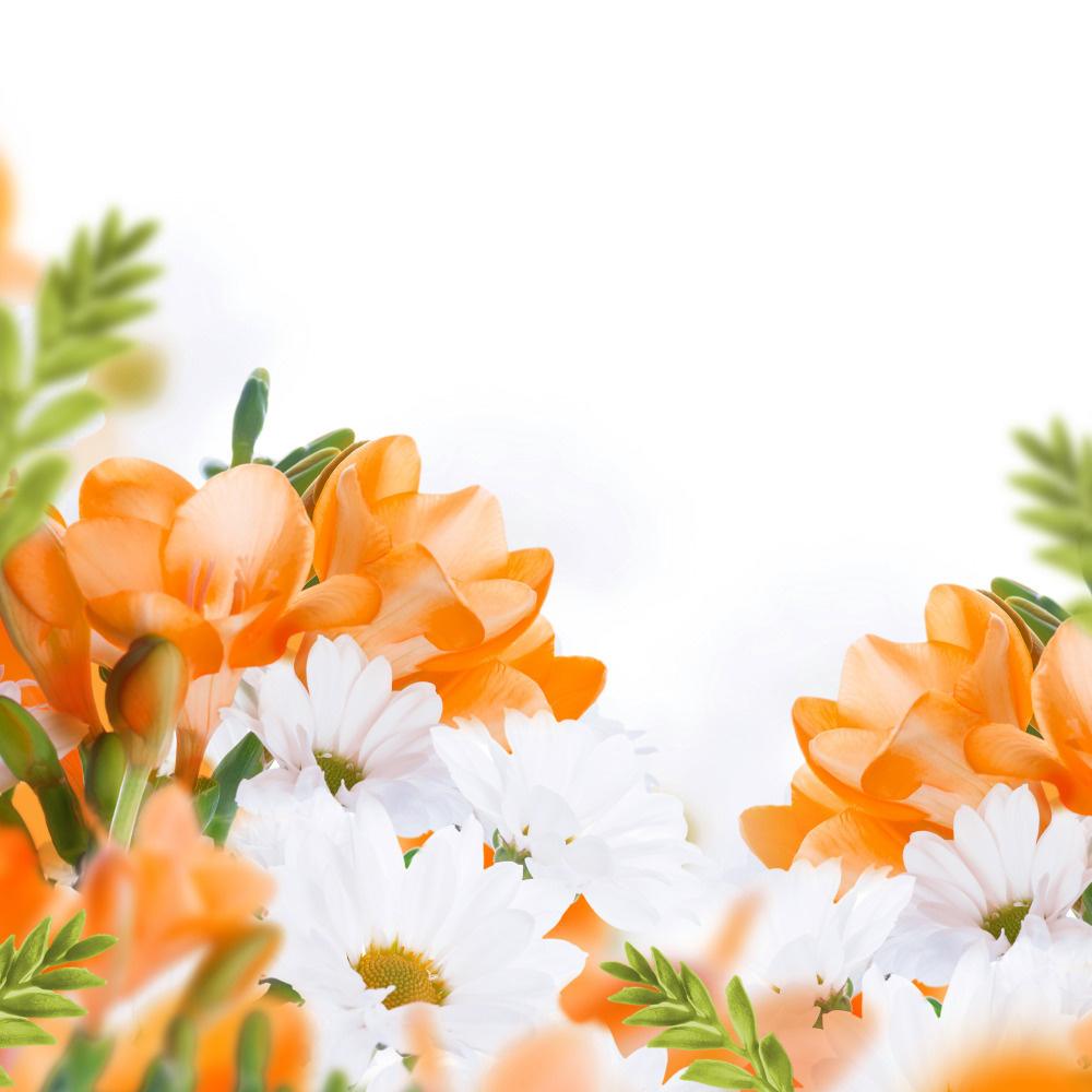 03 — цветы — растения — фрукты