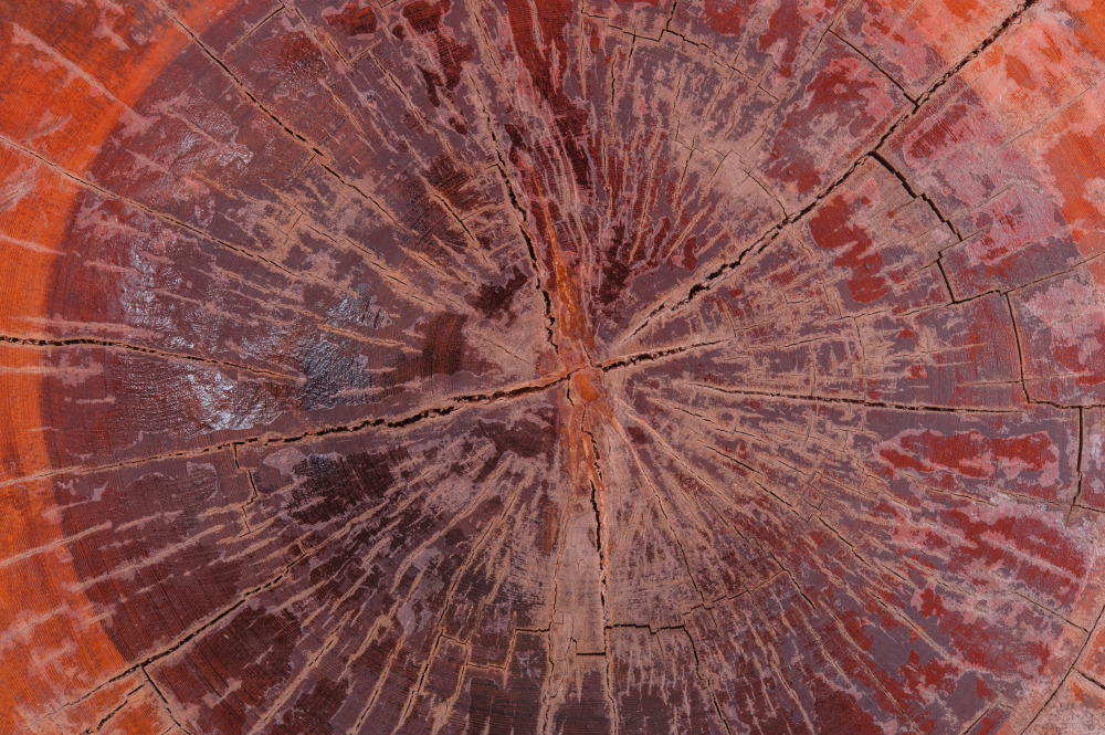 14 — деревянные фоны