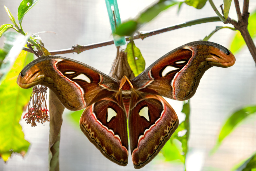 04 — животный и водный мир