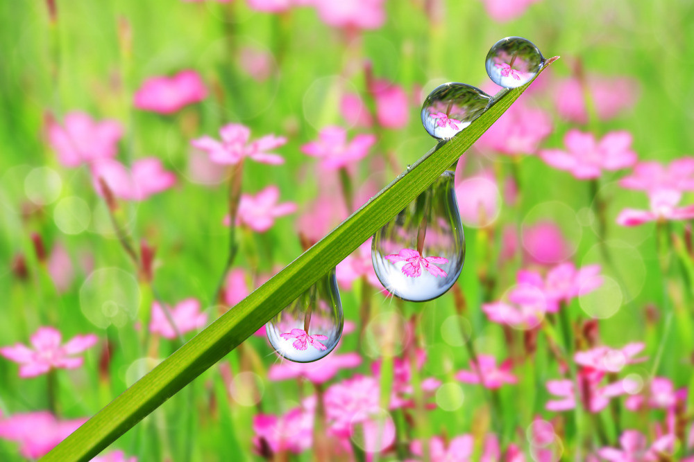 05 - природа и пейзажи