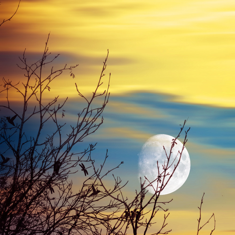 05 - природа и пейзажи