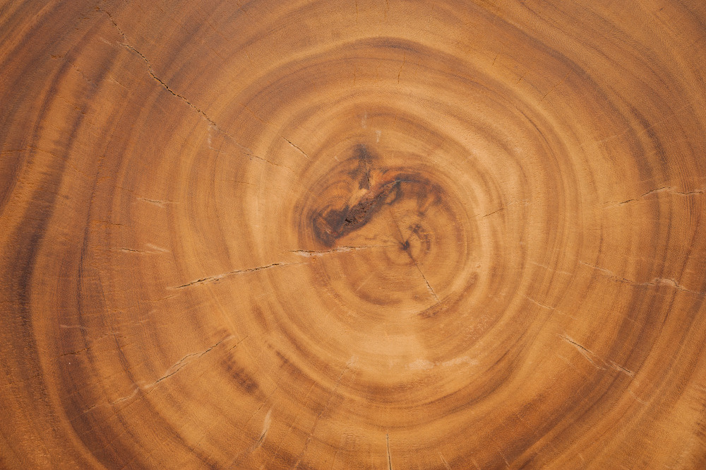 14 — деревянные фоны