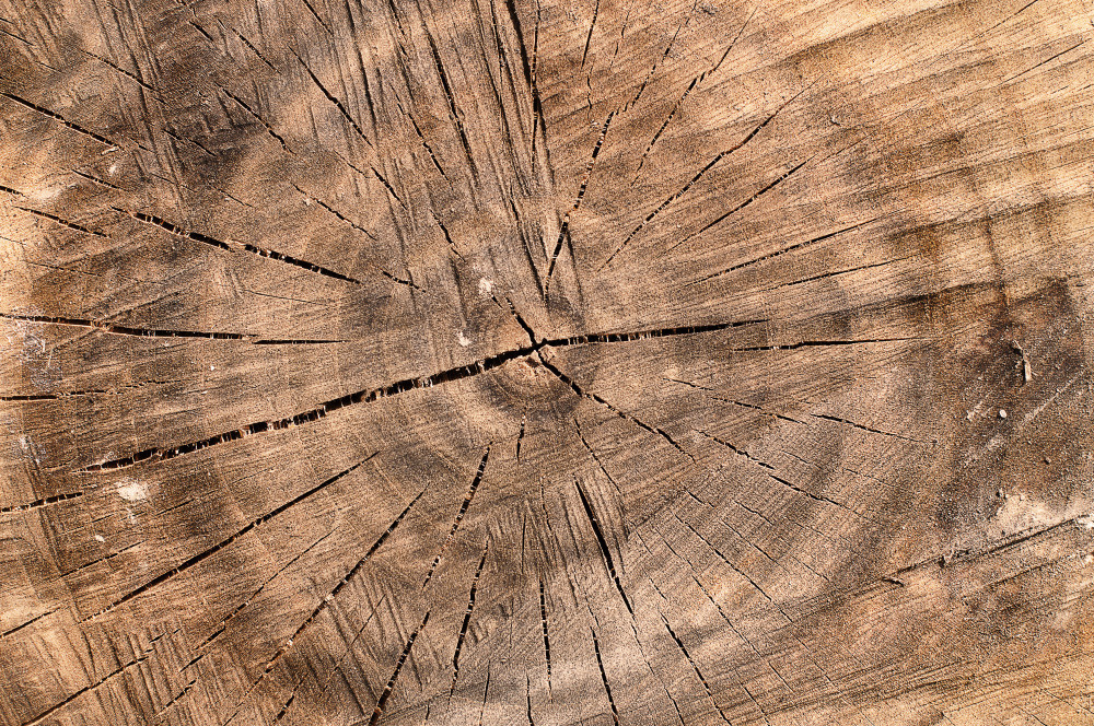 14 — деревянные фоны