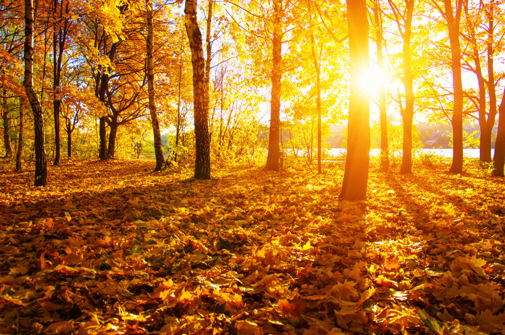 05 - природа и пейзажи