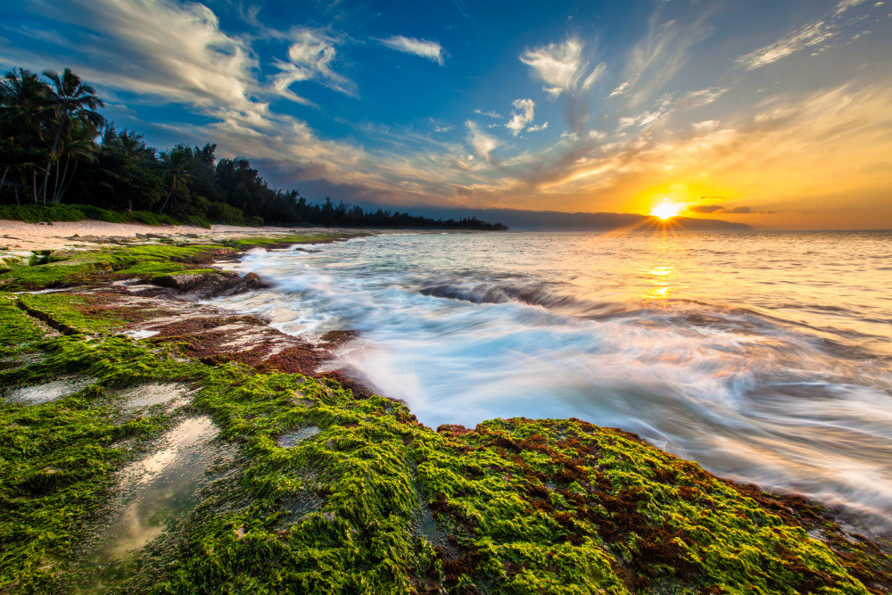 05 - природа и пейзажи