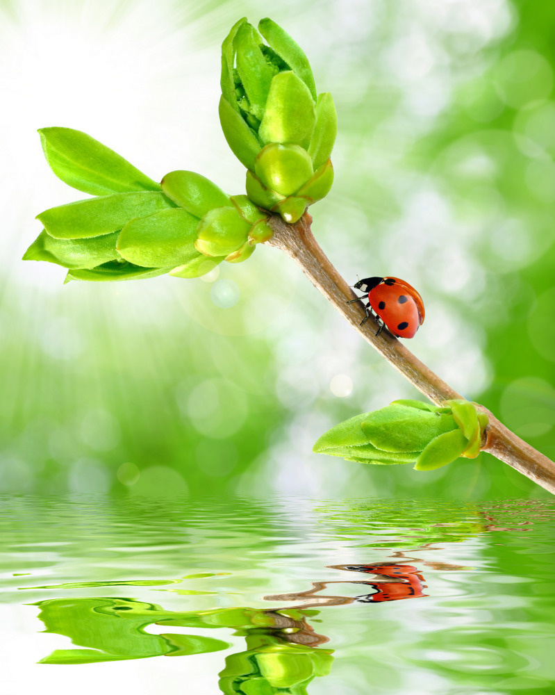 08 — дизайнерские принты