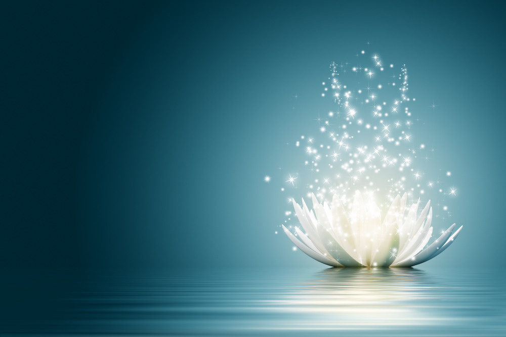 03 — цветы — растения — фрукты