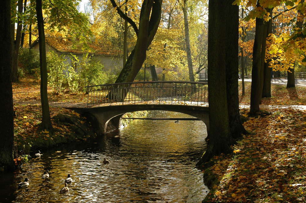 05 - природа и пейзажи